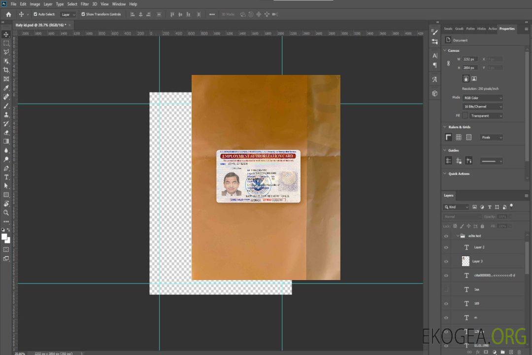 Photolook de la carte d'autorisation de travail aux États-Unis template